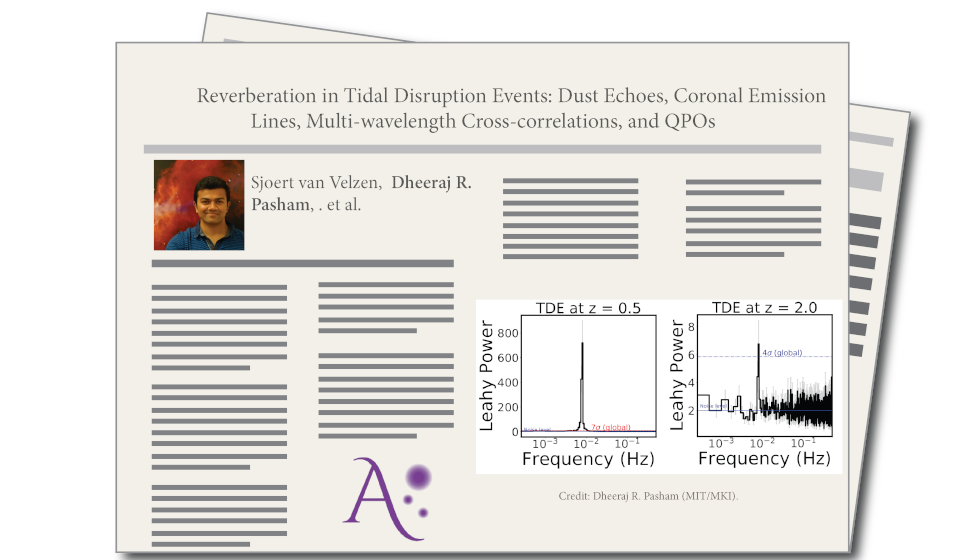 Reverberation in Tidal Disruption Events: Dust Echoes, Coronal Emission Lines, Multi-wavelength Cross-correlations, and QPOs, by Dheeraj Pasham