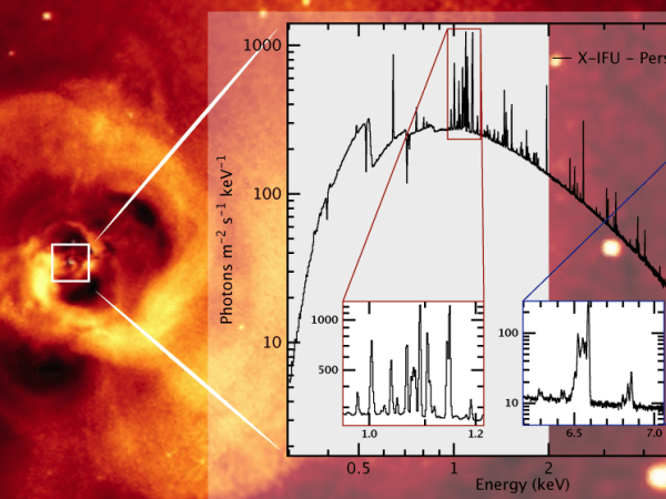 The Athena X-ray Integral Field Unit (X-IFU